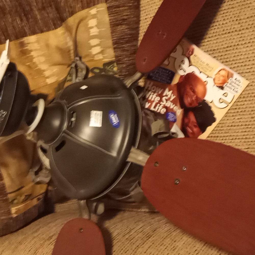 Ceiling fan